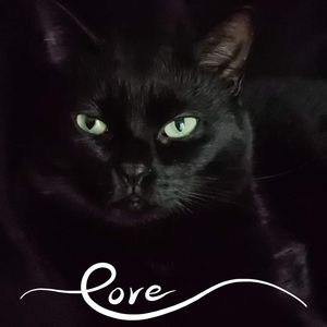 Meet your Posher, Kendra